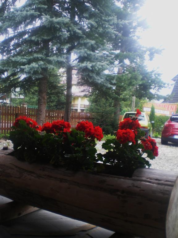 Pokoje Goscinne U Jaska Зомб Екстериор снимка